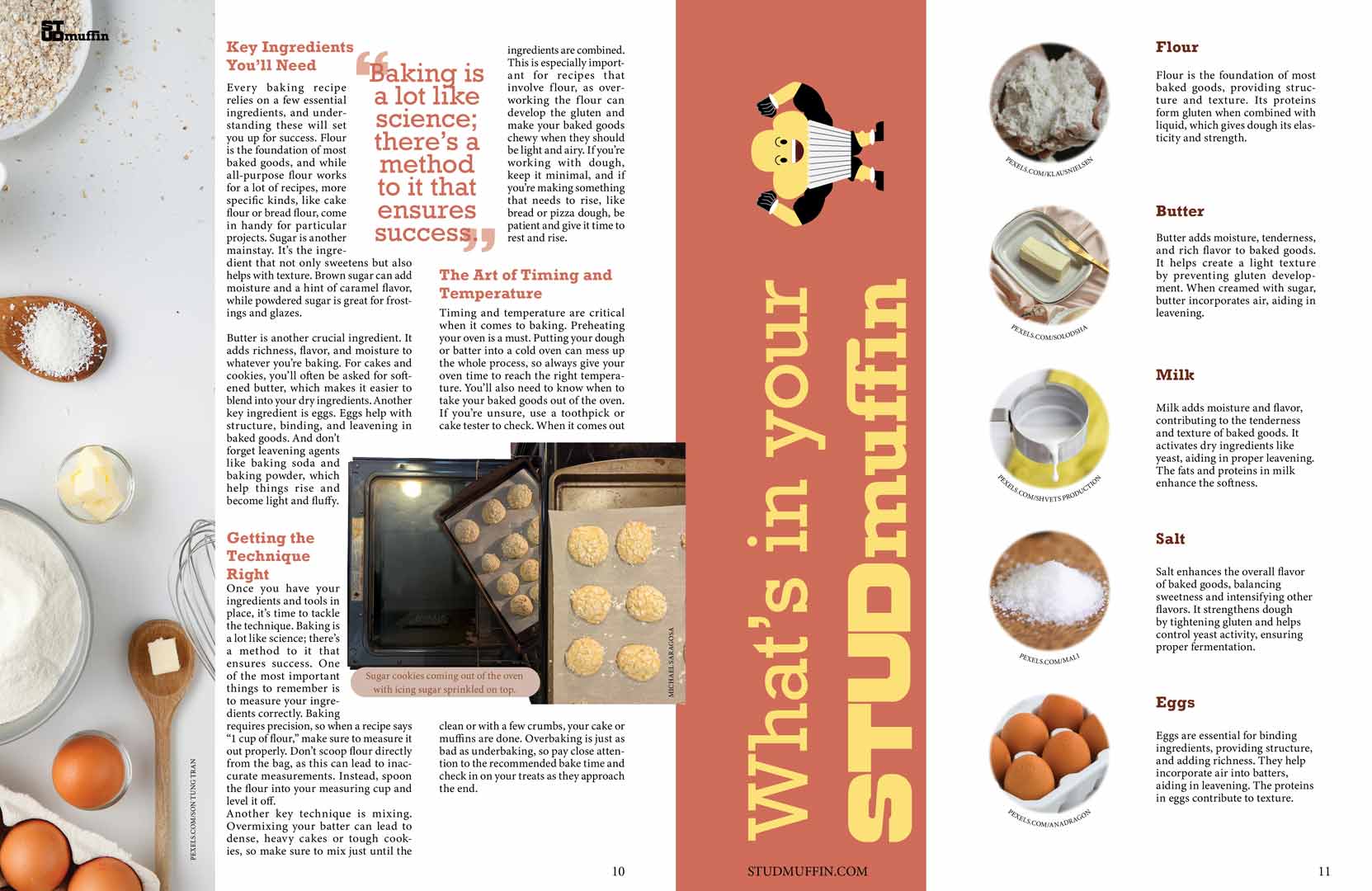Spread page 2 of the Stud Muffin Magazine. An article about baking the perfect muffins.